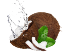 água-de-coco-para-cabelo
